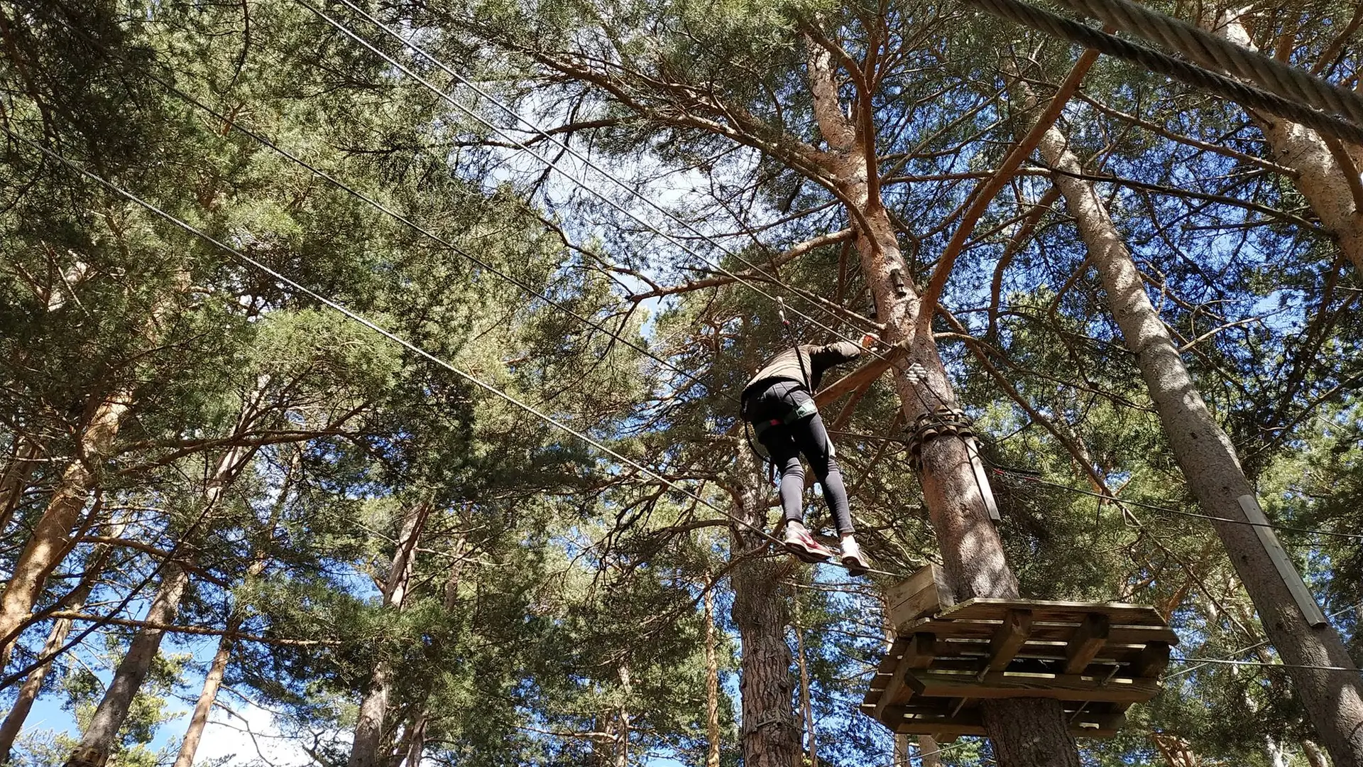 58381934_2359454177440442_5208727674192658432_o