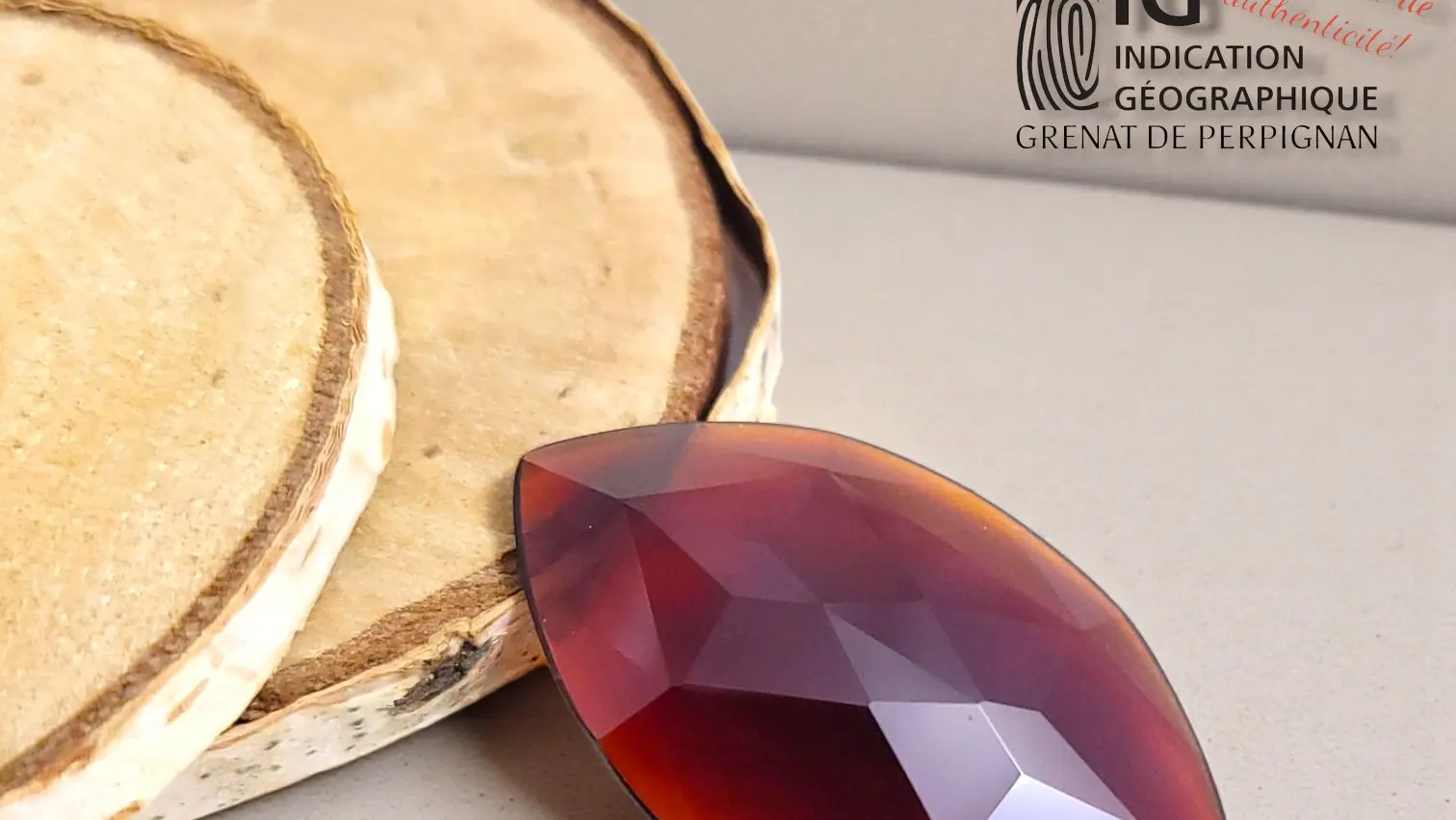 587494420_4265832410326136_4737052204089840086_n