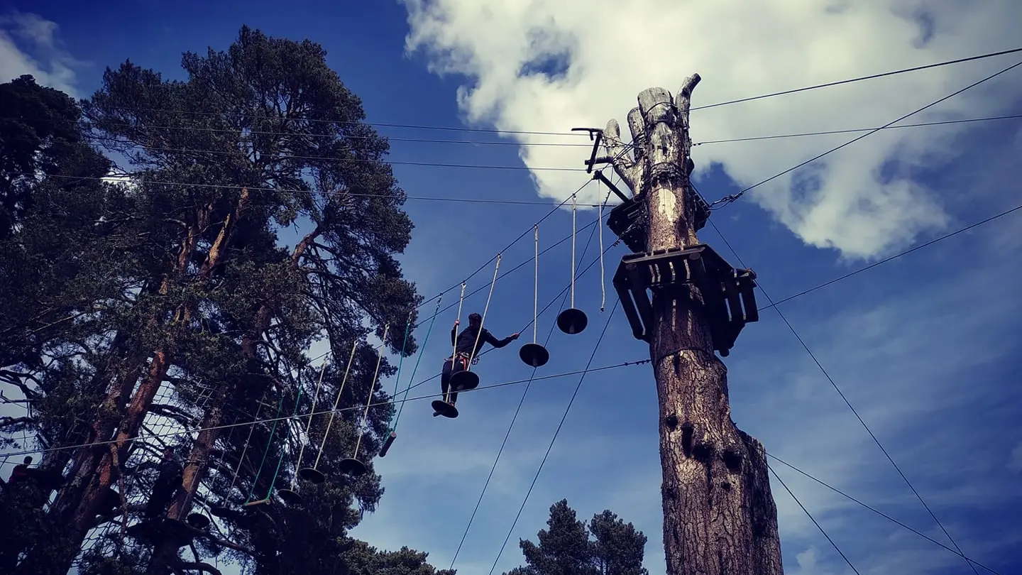 60042992_2380480032004523_575996341784674304_o