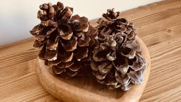 Le corps de ferme_27