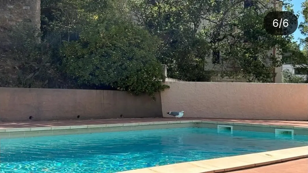 Les pieds dans l'eau_26