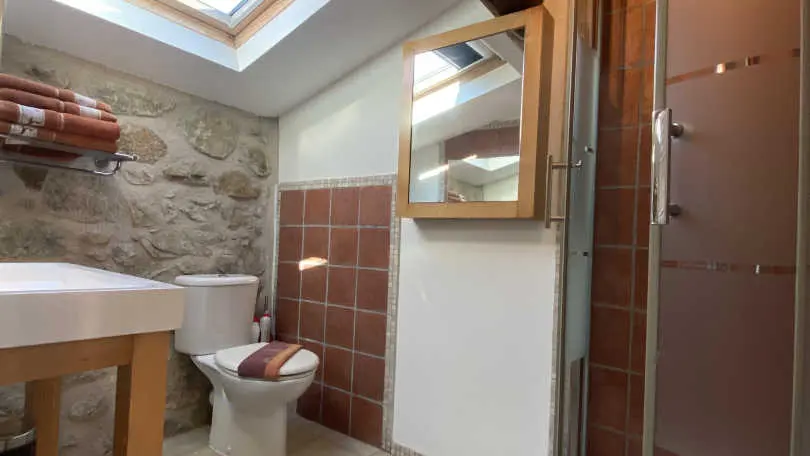 Les Deux Sources - Agapanthe_22