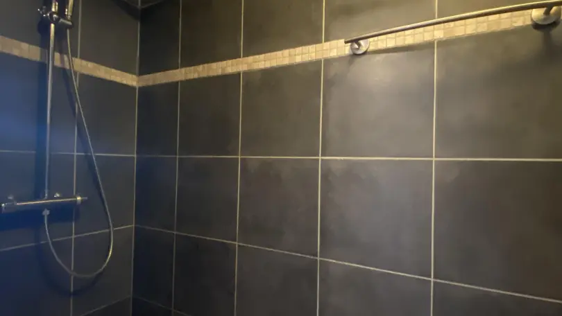 Les Deux Sources - Agapanthe_16