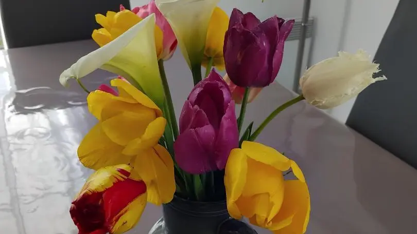 Turró i Rousquille_49