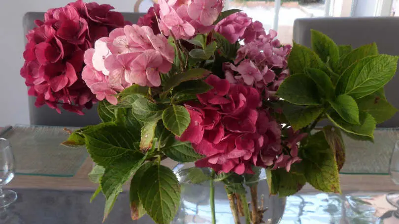 Turró i Rousquille_44