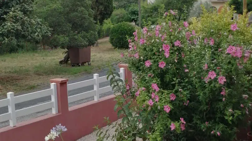 Turró i Rousquille_37