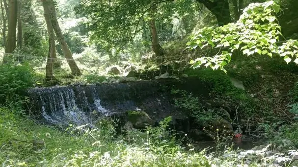 Les Deux Sources - Le Mas_36