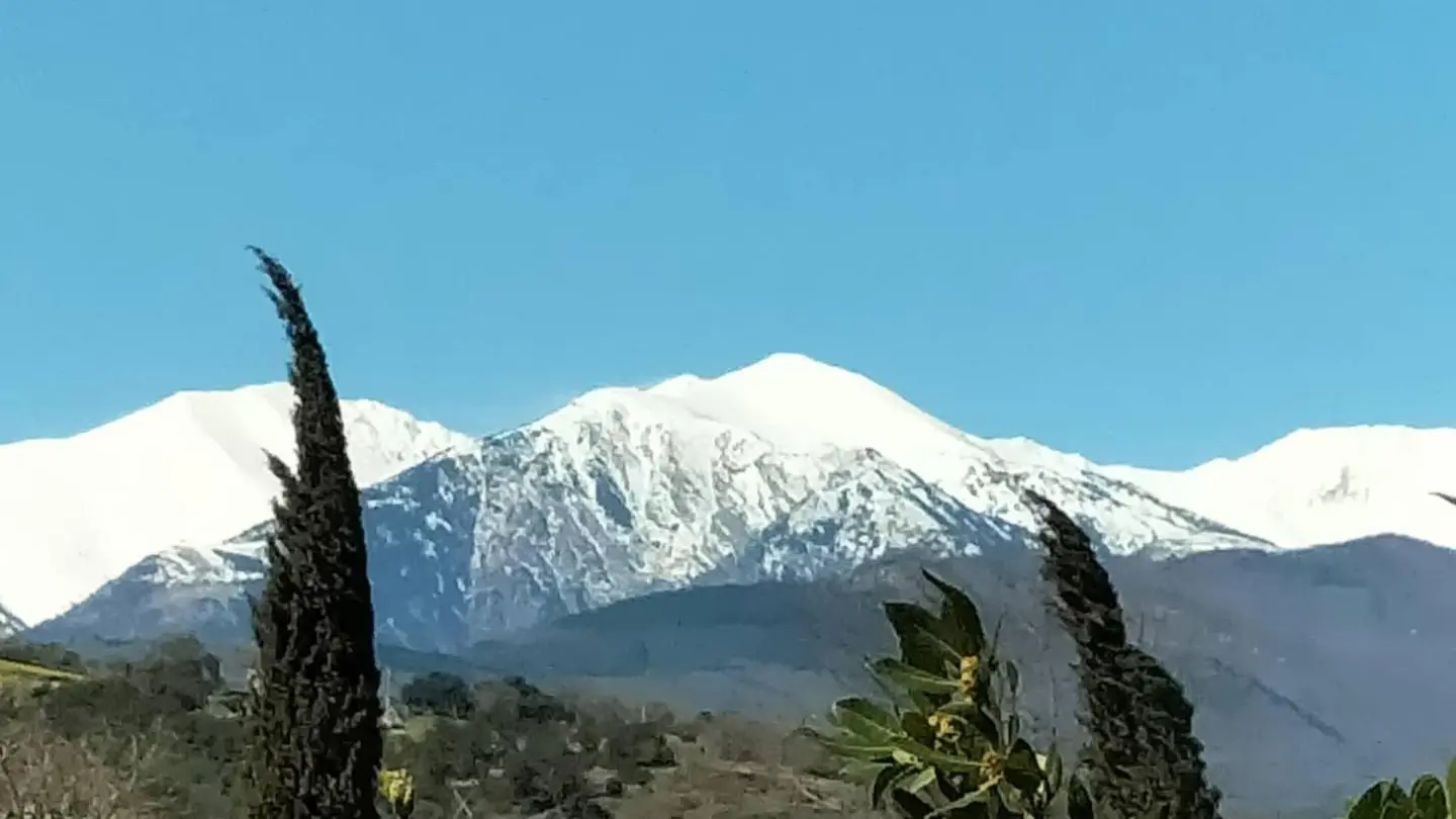 Chez Suzanne - Appartement Canigou_31