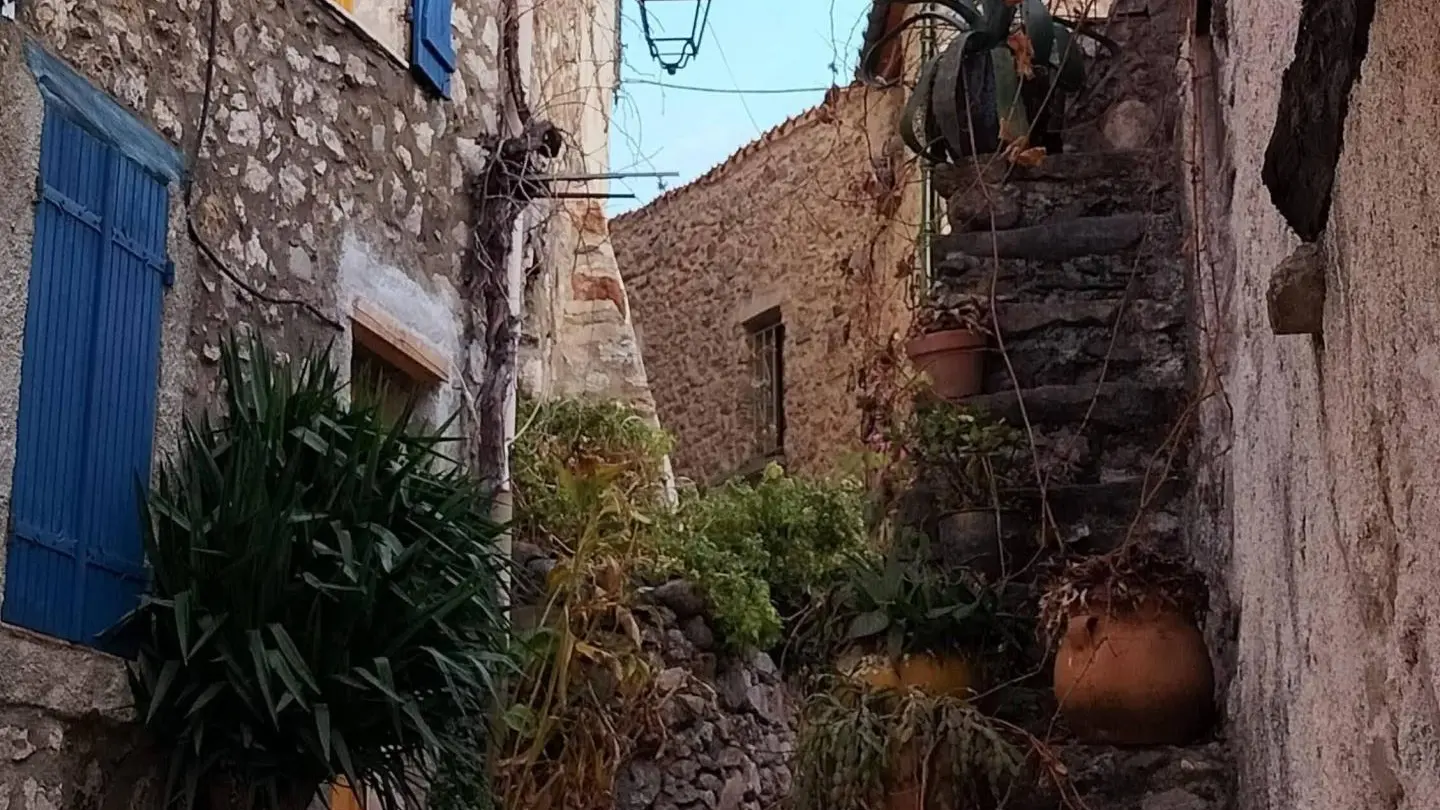 Chez Suzanne - Appartement Canigou_23