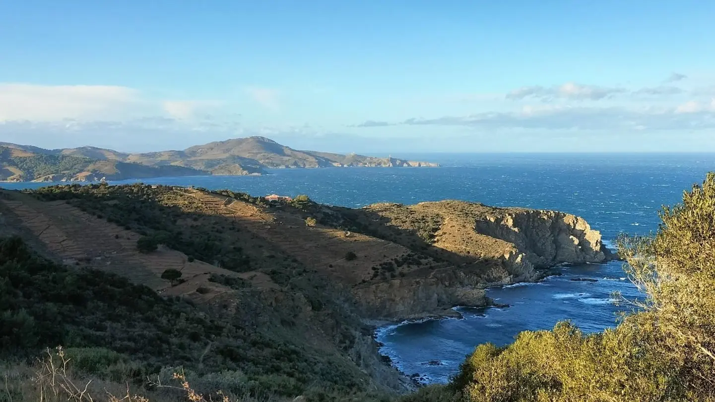 Chez Suzanne - Appartement Canigou_34