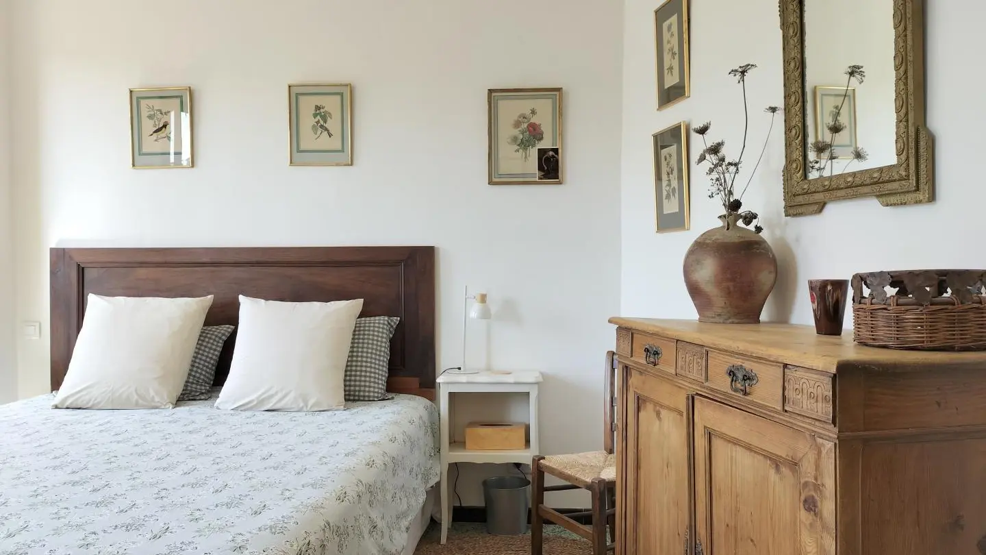 Chez Suzanne - Appartement Canigou_12