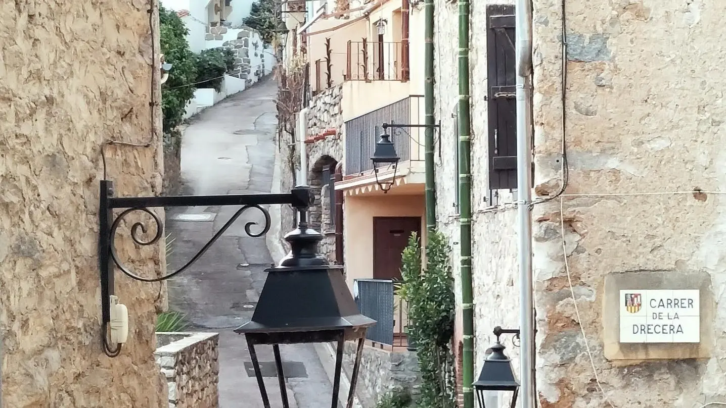 Chez Suzanne - Appartement Canigou_22