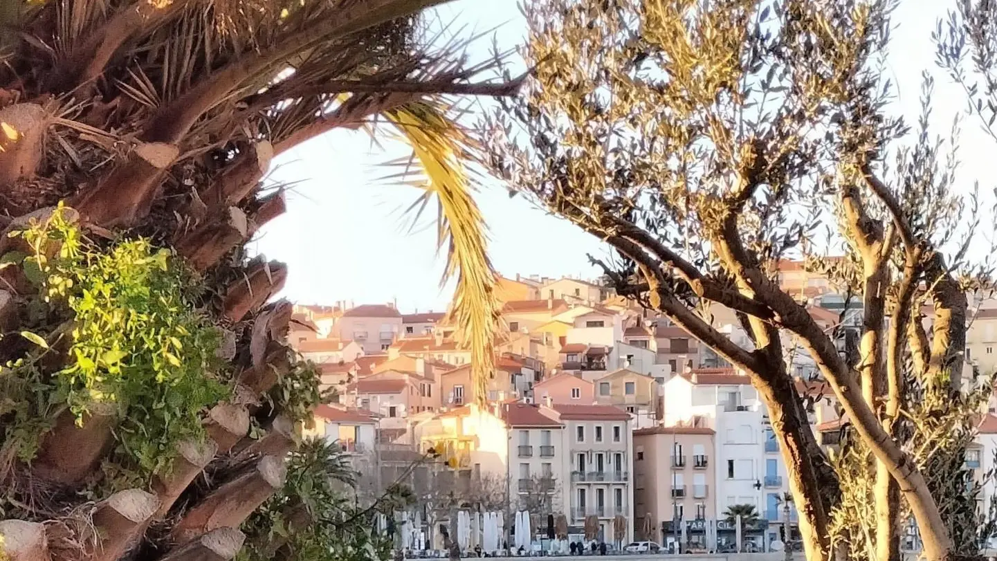 Chez Suzanne- Appartement Canigou_32