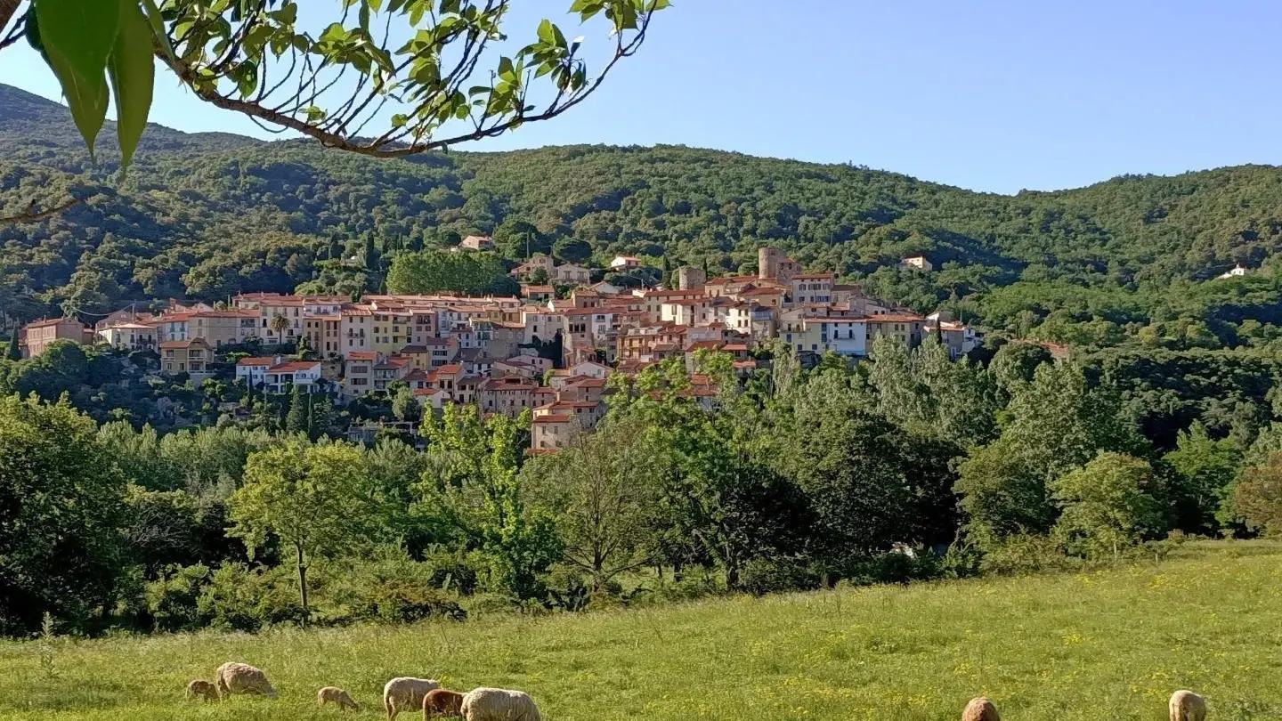 Chez Suzanne- Appartement Vallespir_26