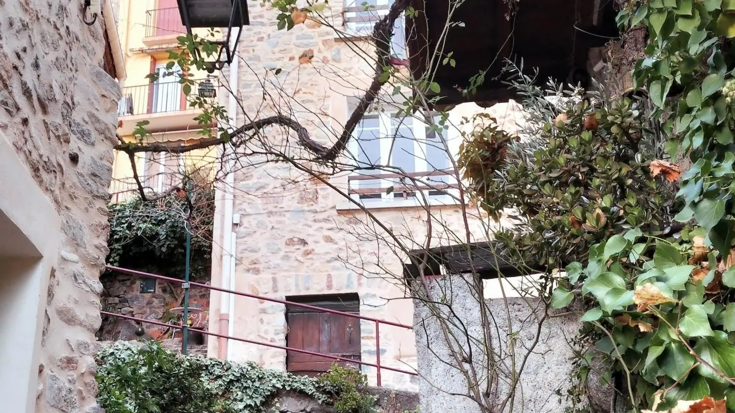 Chez Suzanne- Appartement Vallespir_21