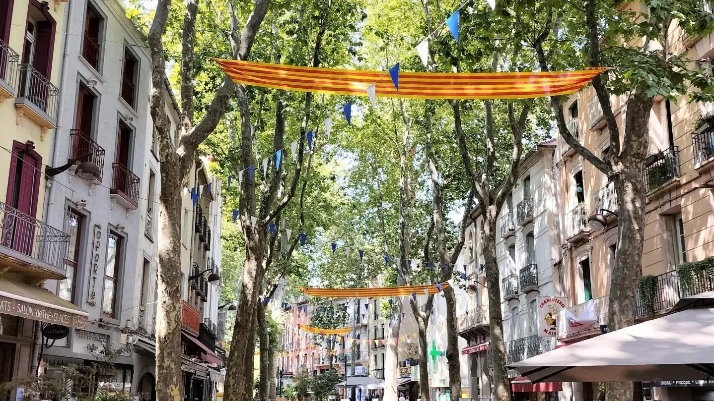 Chez Suzanne- Appartement Vallespir_27