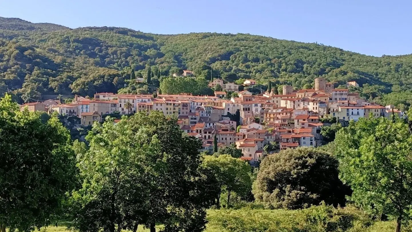 Chez Suzanne- Appartement Vallespir_3