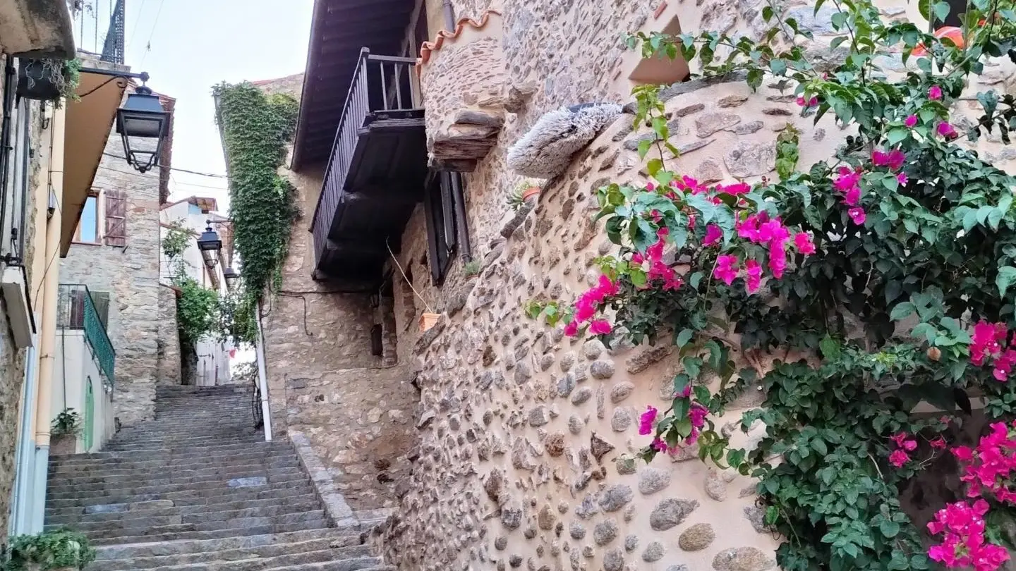 Chez Suzanne- Appartement Vallespir_23