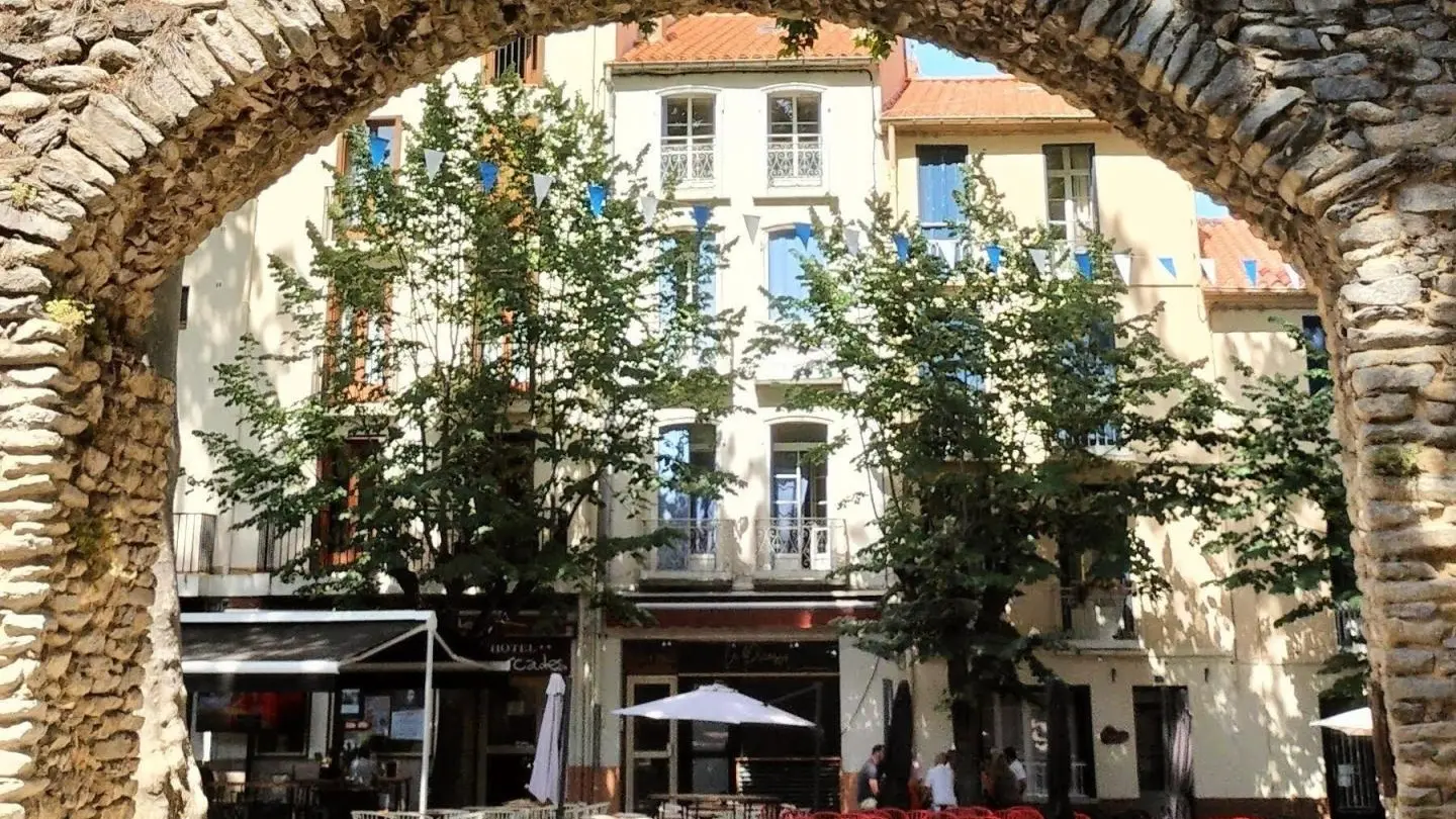 Chez Suzanne- Appartement Vallespir_28