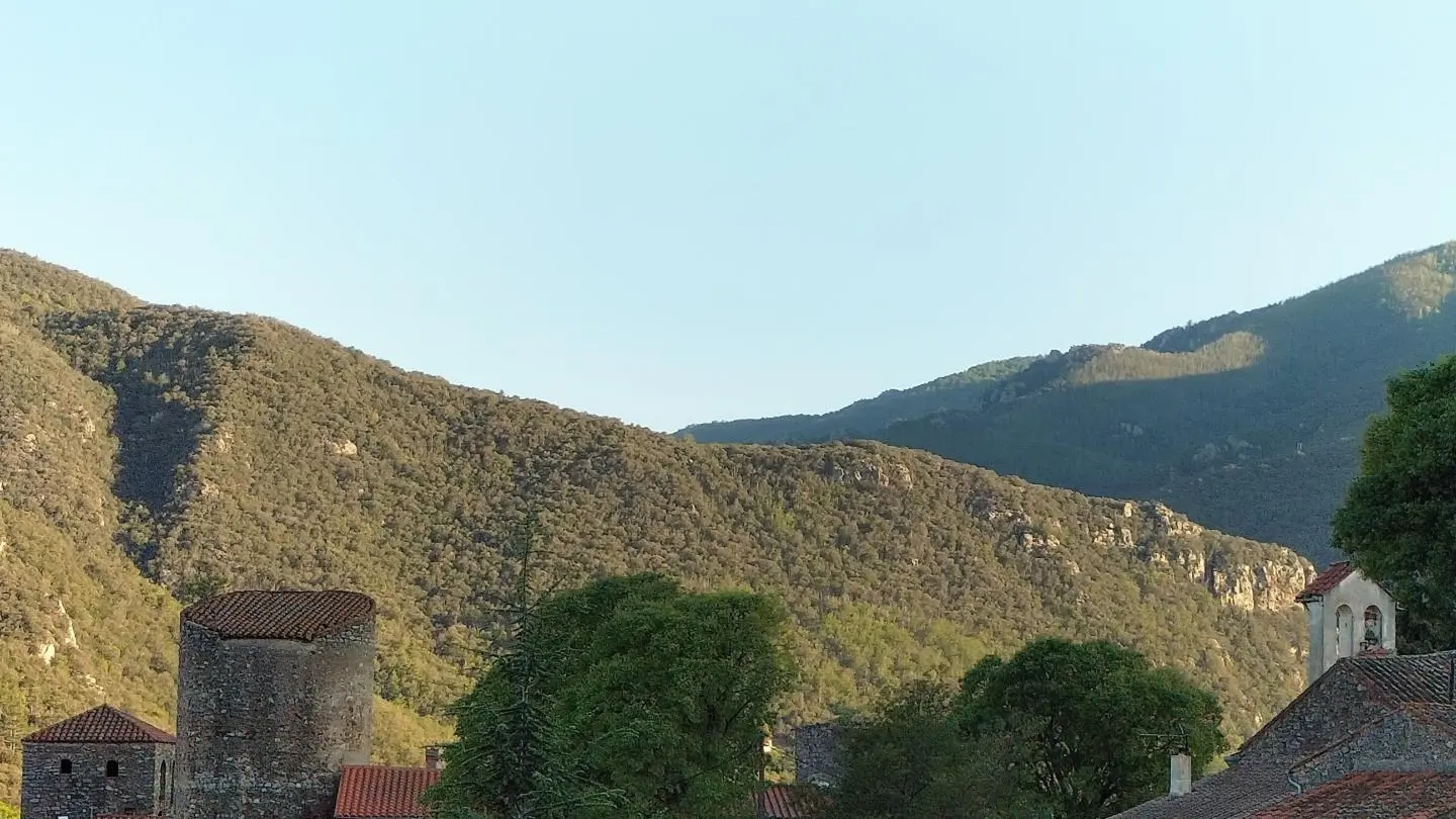 Chez Suzanne- Appartement Vallespir_24