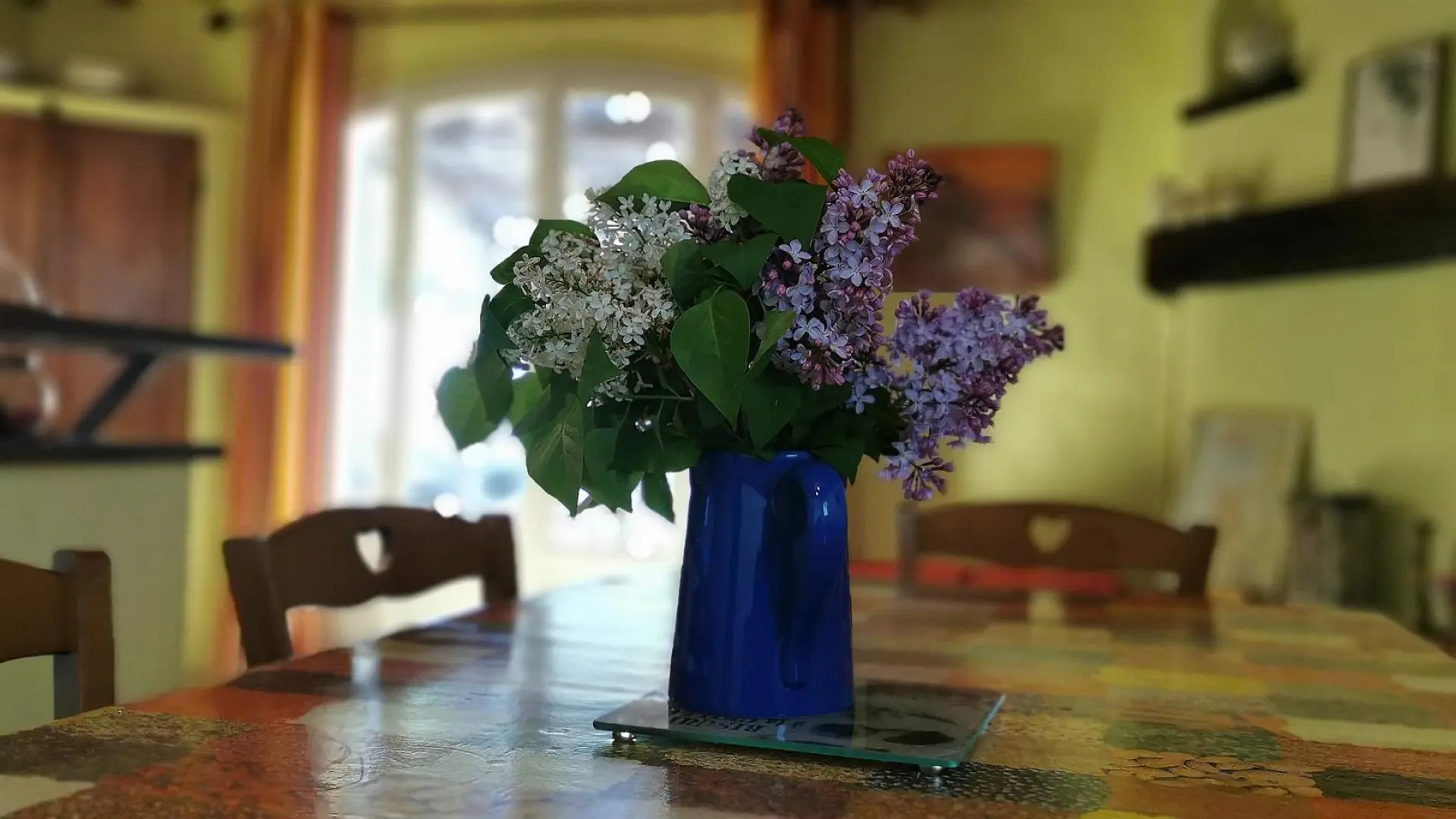 Mas d en costeseque_23