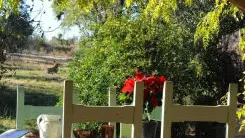 Mas d en costeseque_1