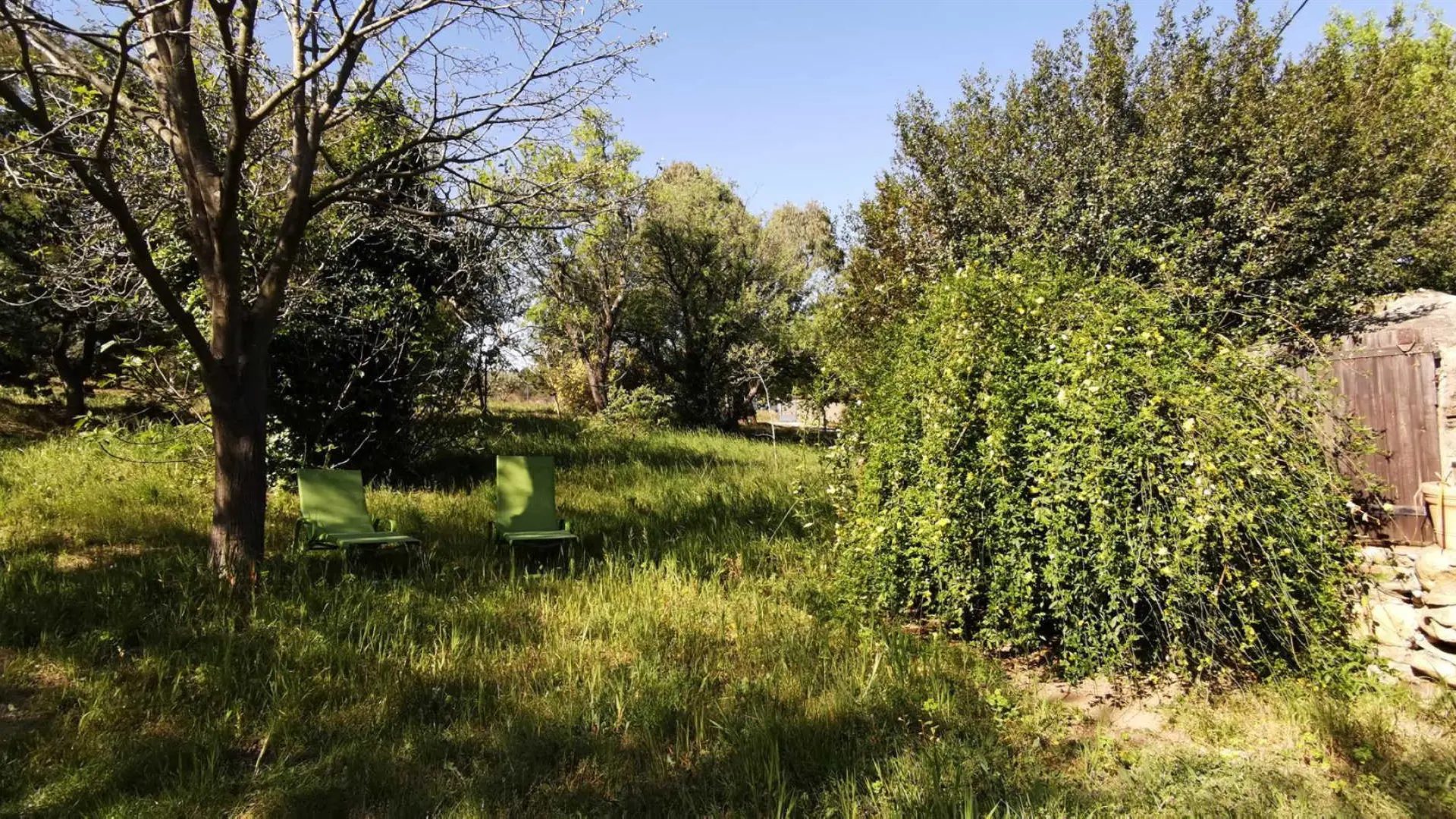 Mas d en costeseque_26