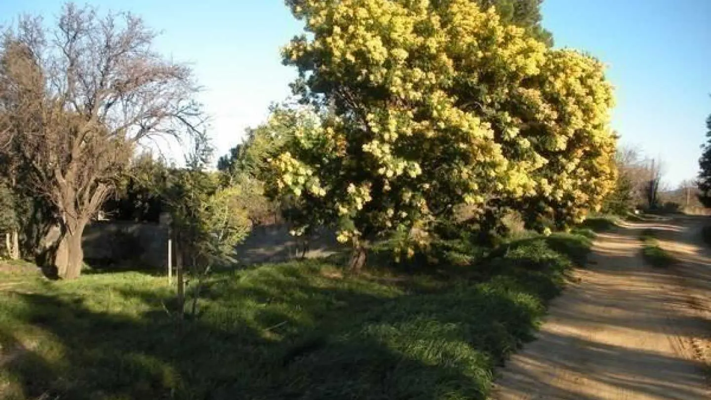 Mas d en costeseque_43