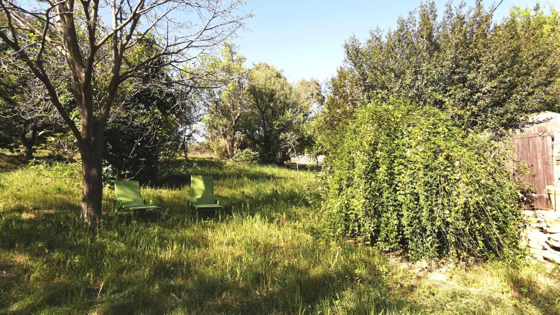 Mas d en costeseque_30