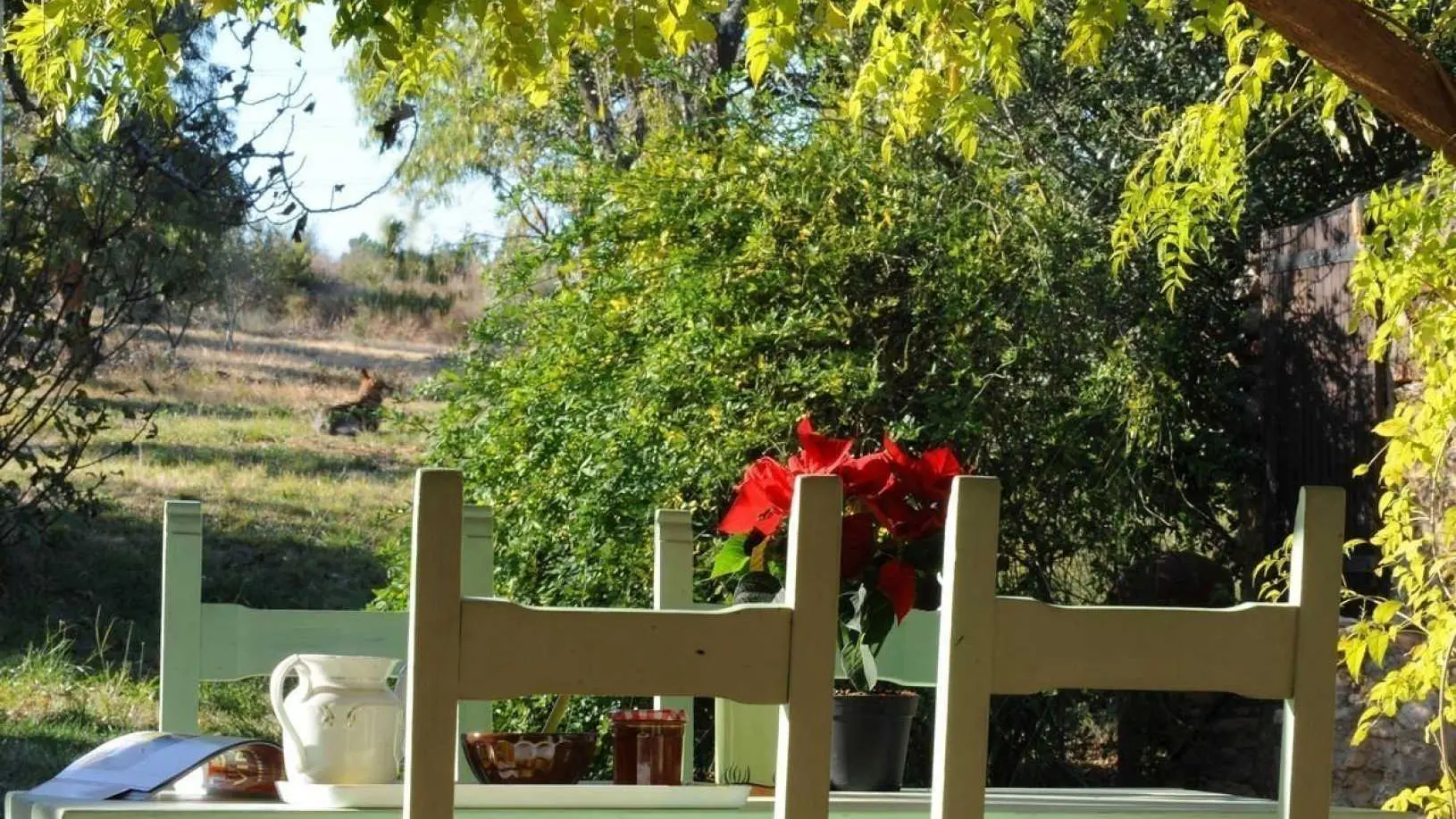 Mas d en costeseque_2