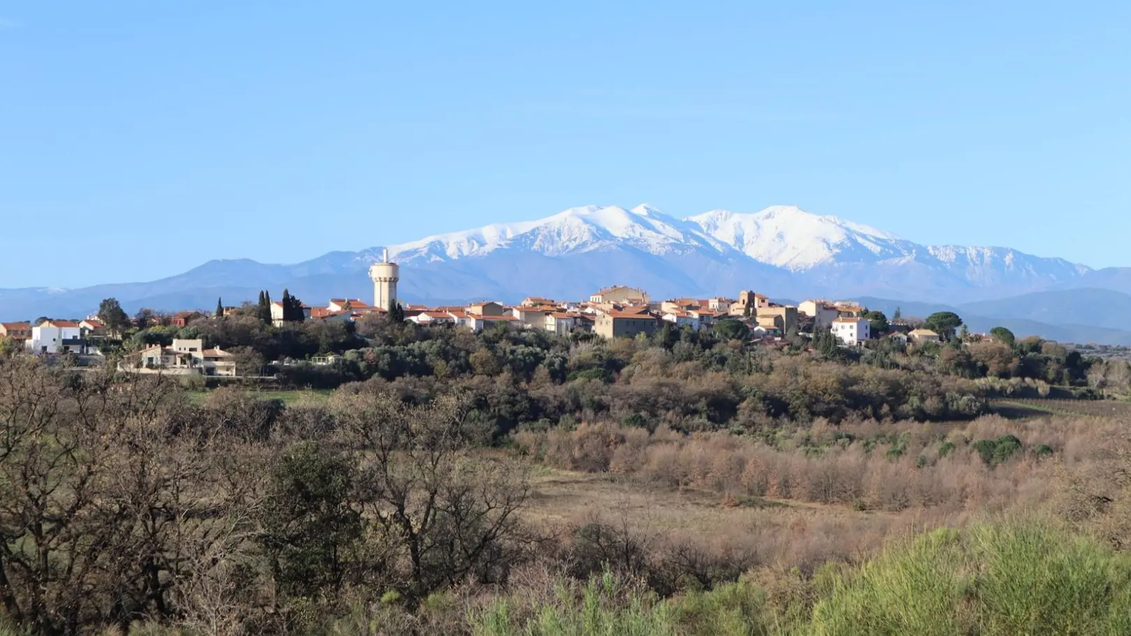 La Maison des Vendangeurs_12