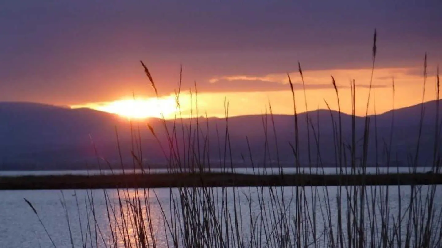 Gîte ô bout de l'île_26