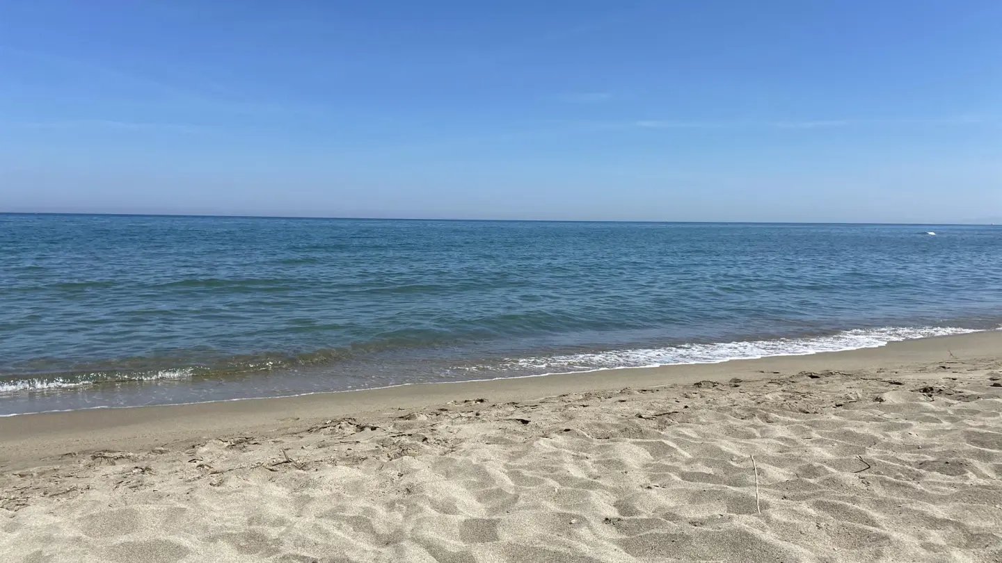 Le Gîte de l'Ile_20