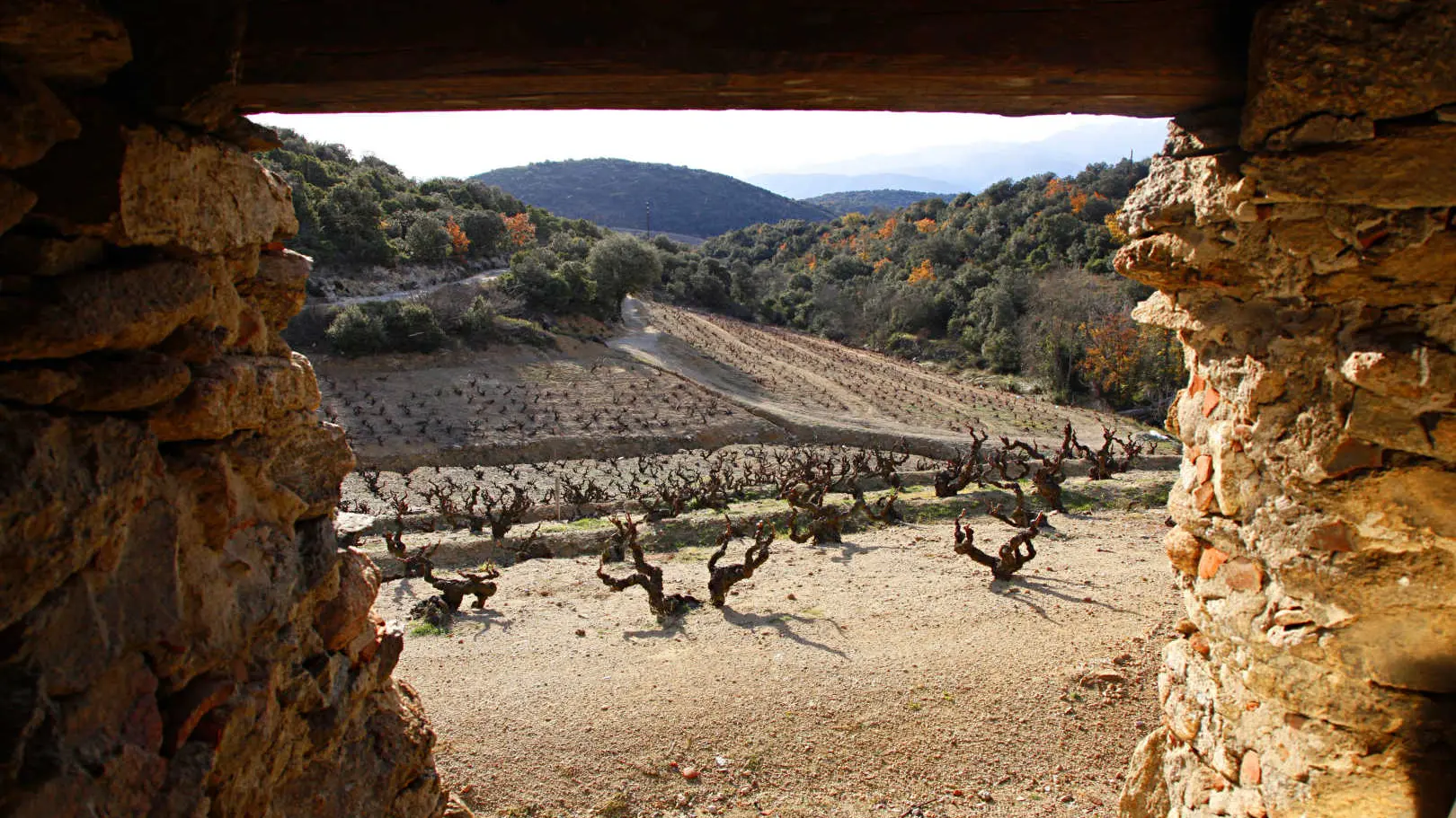 L'Arche by Domaine RIBERACH_20