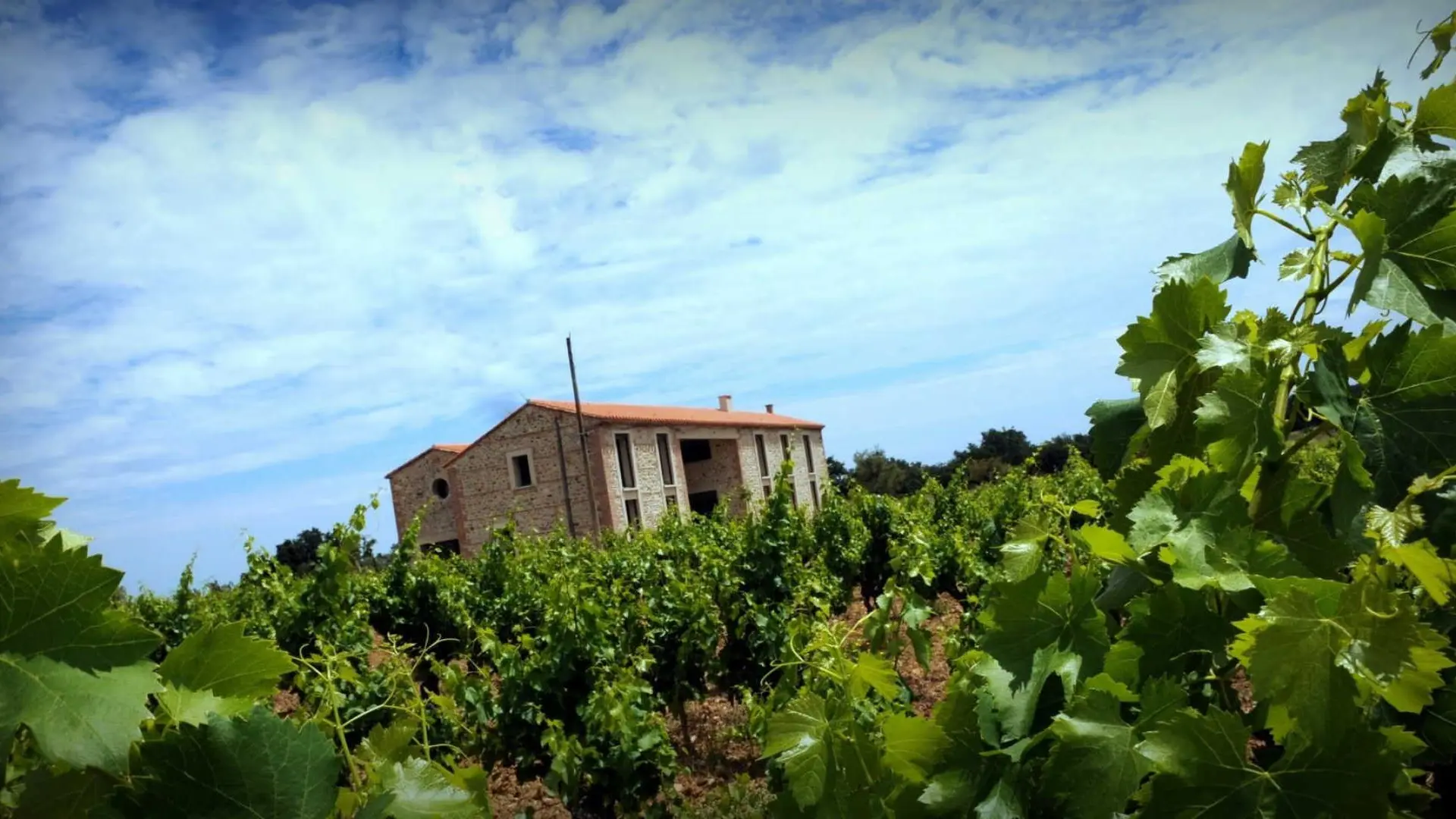 Le gîte du Mas Cambel_20