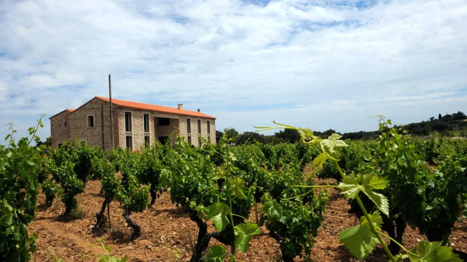 Le gîte du Mas Cambel_27