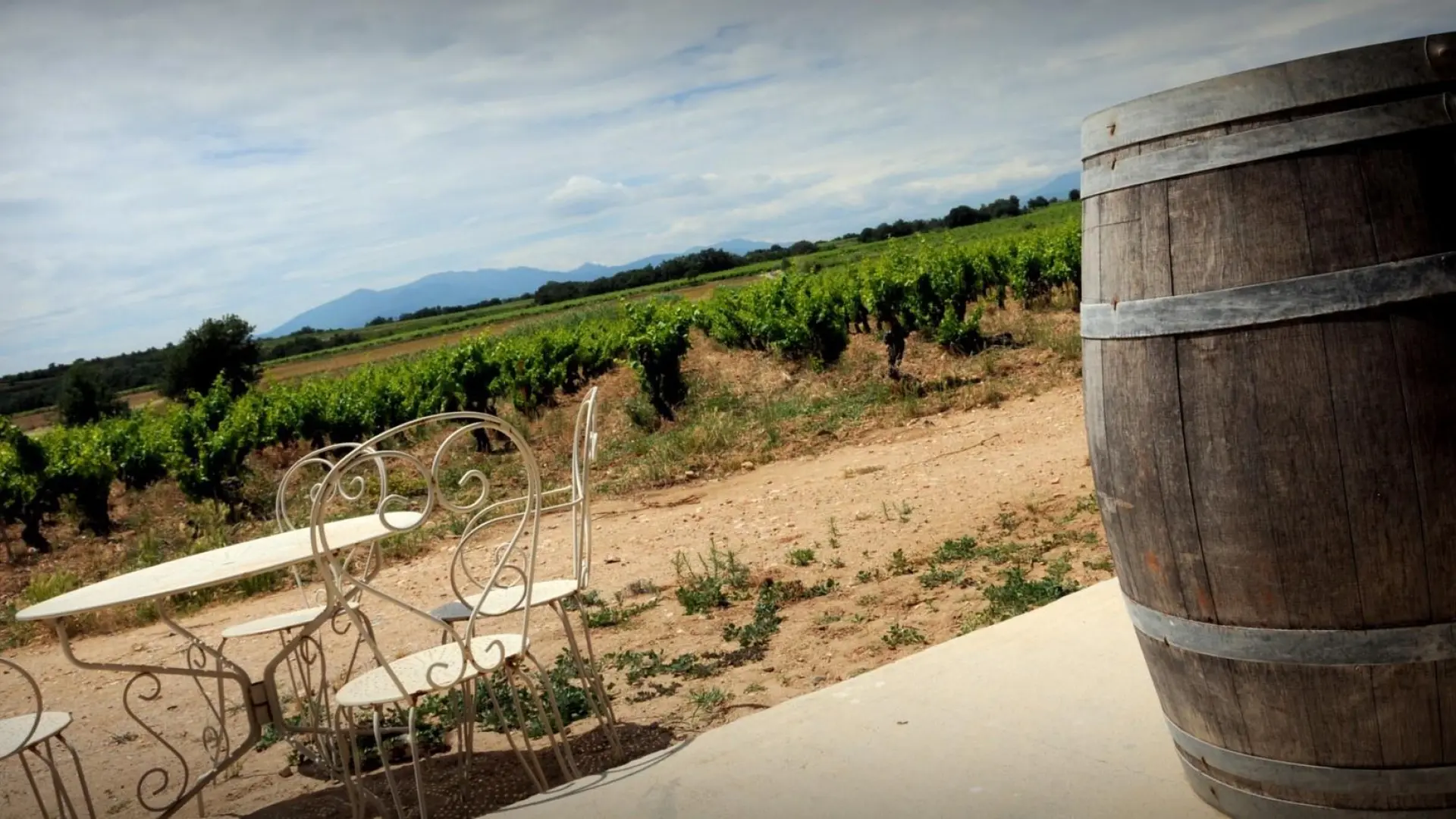 Le gîte du Mas Cambel_28