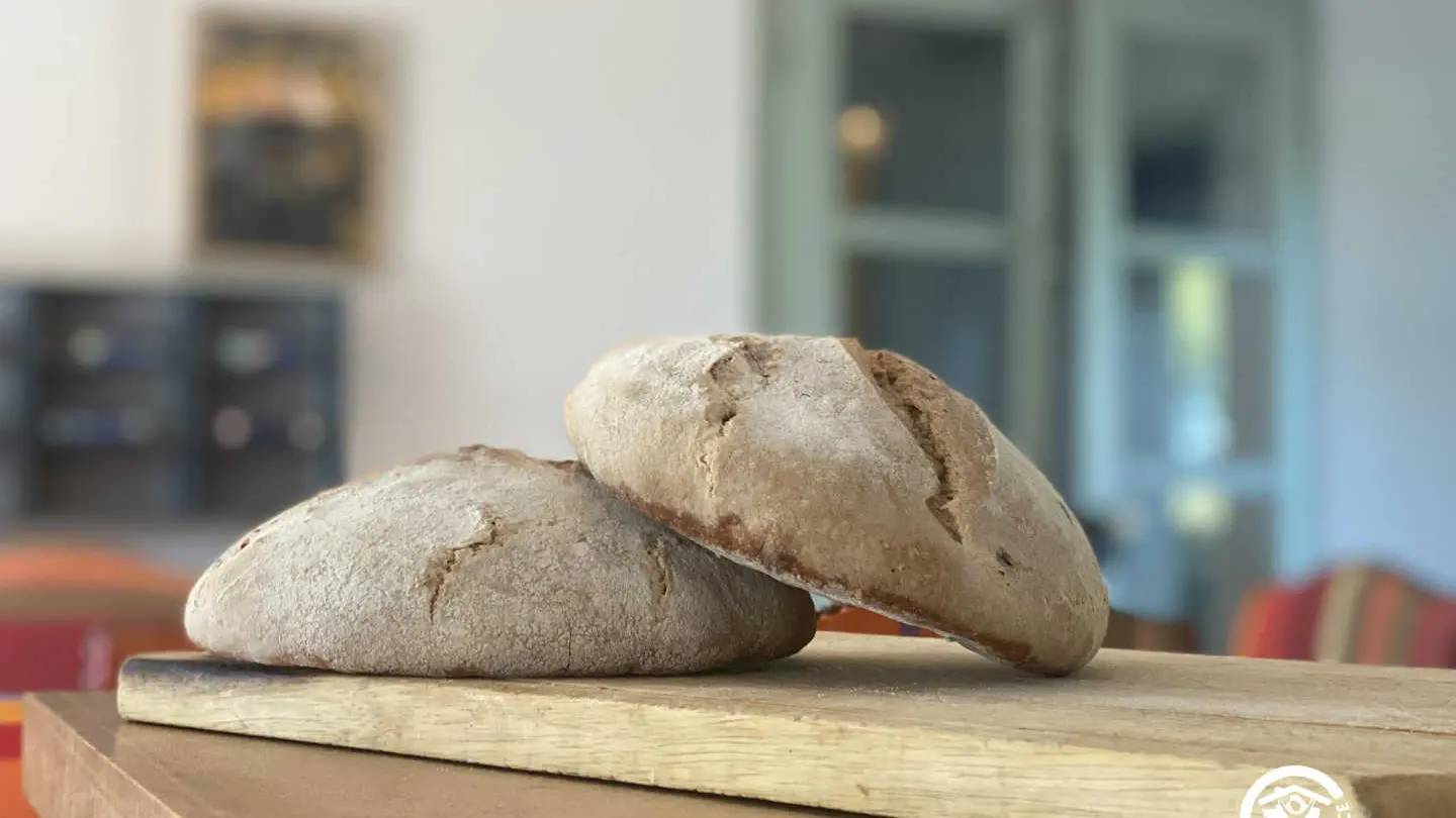 La maison des vendangeurs_15