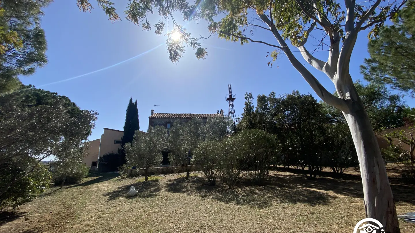 La maison des vendangeurs_12