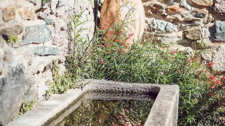 Le Moulin de la Canterrane_21