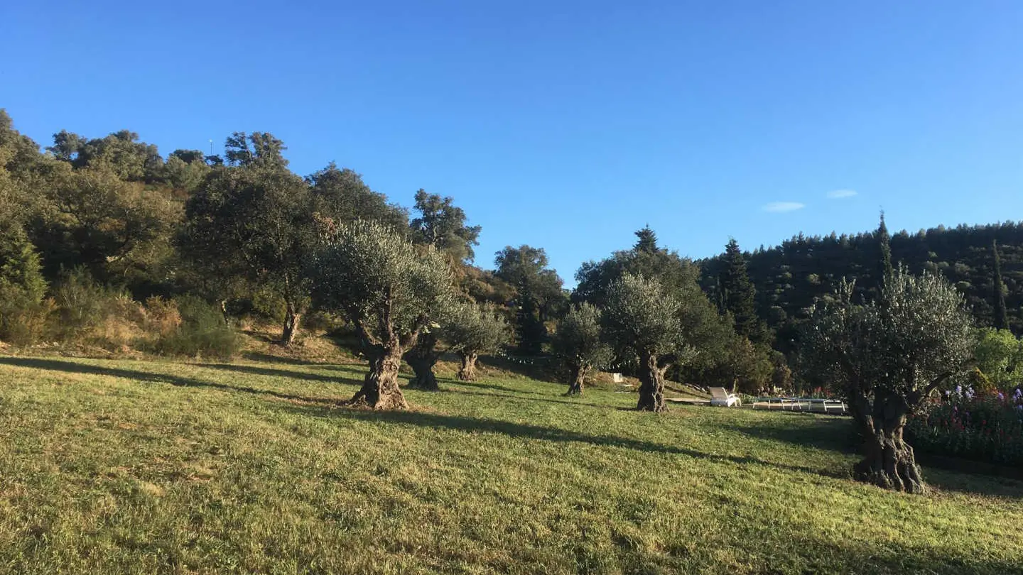 Le Moulin de la Canterrane_24