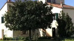 Les cueilleurs de cerises_1