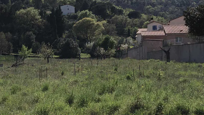 Les cueilleurs de cerises_25