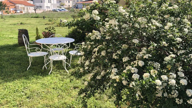 Les cueilleurs de cerises_23