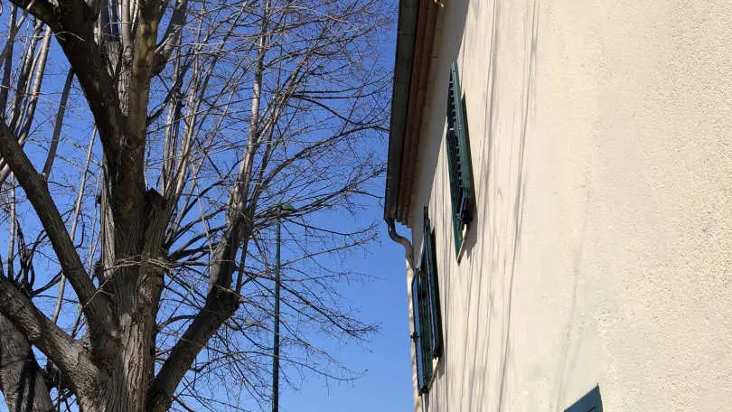 Les cueilleurs de cerises_21