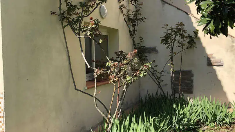 Les cueilleurs de cerises_20