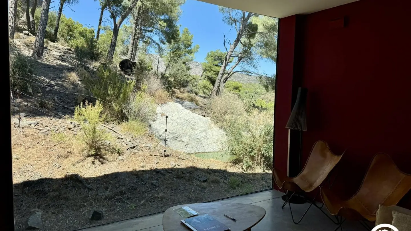 Lodge 1 - Légendaire Transsibérien_14