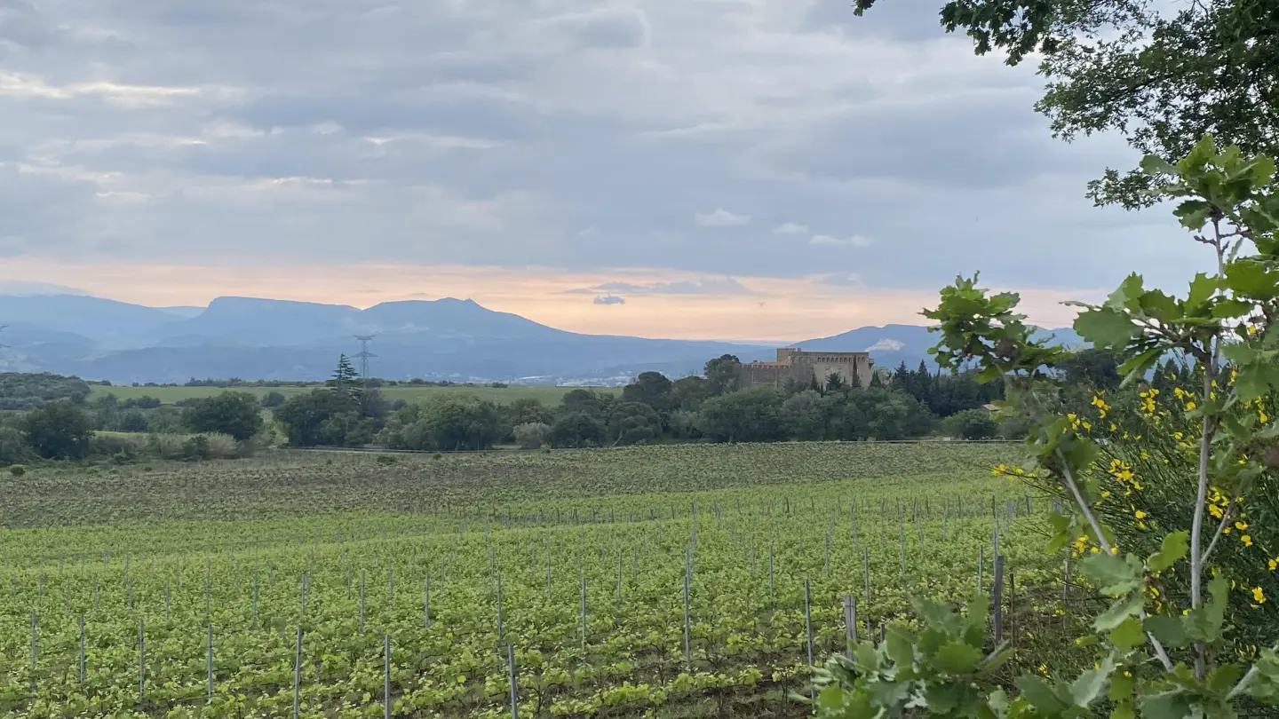 La maison du berger_18