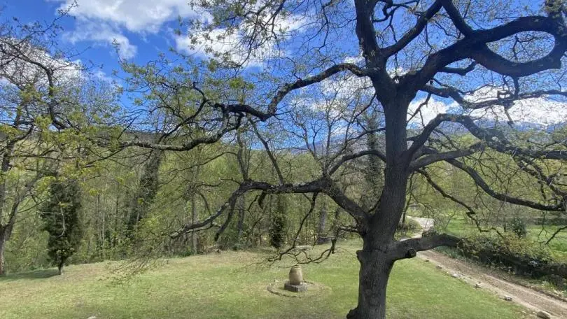La pommeraie du Canigou_28