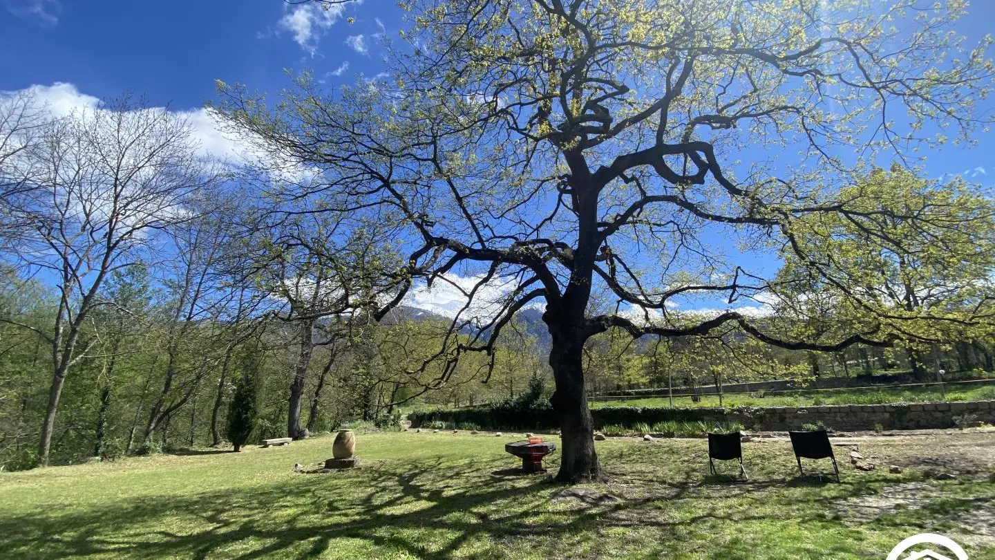 La pommeraie du Canigou_34